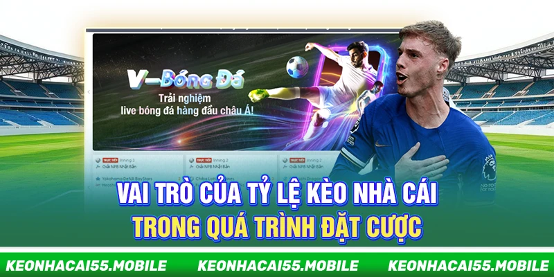 Kèo Nhà Cái ⭐️ Soi Tỷ Lệ Kèo Bóng Đá, Keonhacai5 Mới Nhất 2026 22 Vai trò của tỷ lệ kèo nhà cái trong quá trình đặt cược