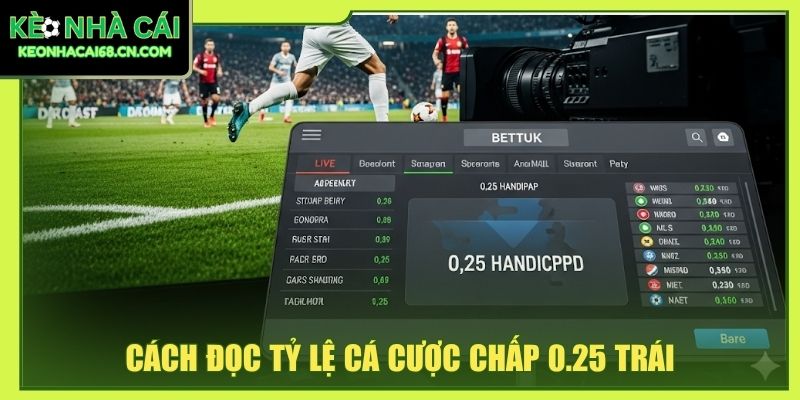 Cách đọc tỷ lệ cá cược chấp 0.25 trái