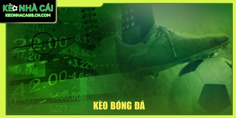 Kèo Bóng Đá: Hướng Dẫn Đọc Tỷ Lệ Cho Người Mới Dễ Hiểu 3 Kèo bóng đá