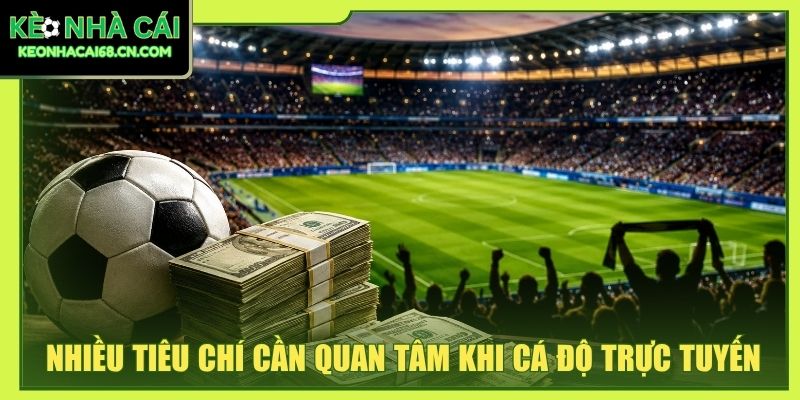 Nhiều tiêu chí cần quan tâm khi cá độ trực tuyến