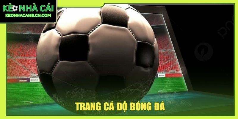 Trang Cá Độ Bóng Đá Uy Tín - 3+ Tiêu Chí Quan Trọng Nhất 6 trang cá độ bóng đá