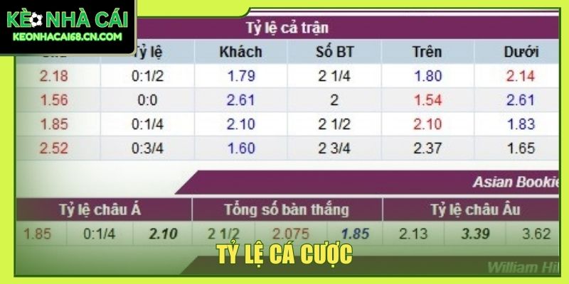 3+ Tỷ Lệ Cá Cược Phổ Biến - Cách Đọc Trường Hợp Chi Tiết 1 tỷ lệ cá cược