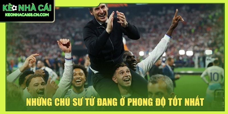 Những chú sư tử đang ở phong độ tốt nhất